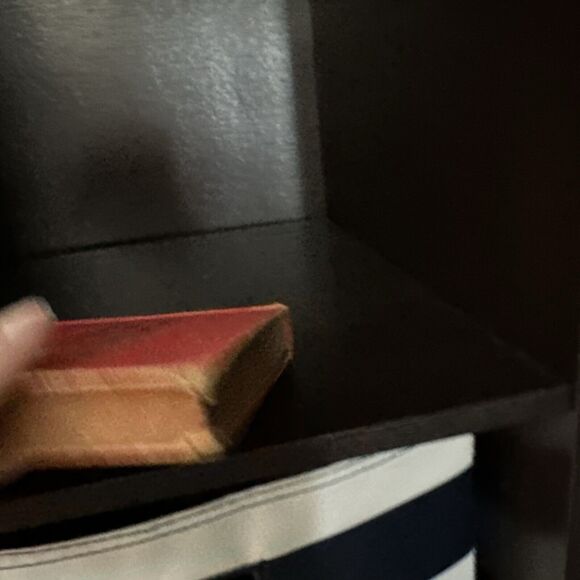 Roping Lions in the Grand Canyon by Zane Grey 1924 hardcover - Picture 5 of 9